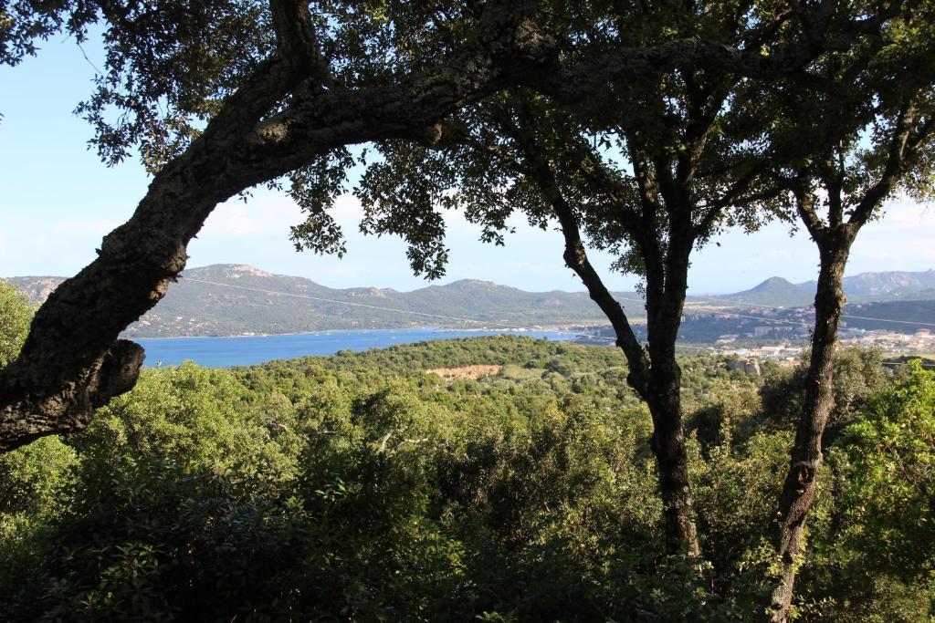 Hotel Les Hauts De Porto-Vecchio חדר תמונה